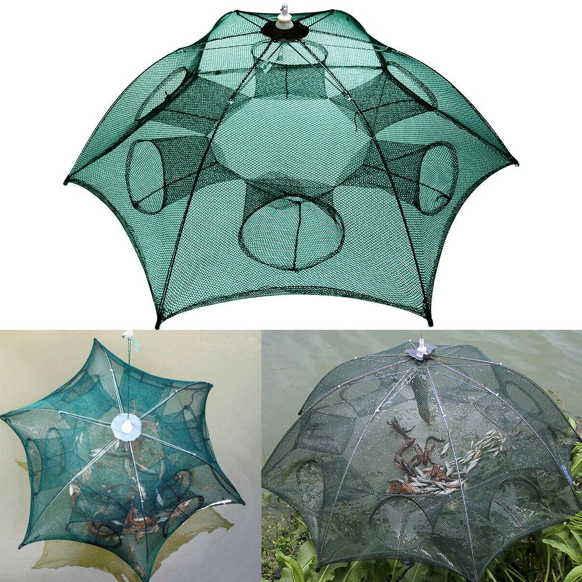 the magic fishing trap