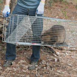Havahart X-Large 1-Door Humane Live Animal Raccoons, Foxes, 